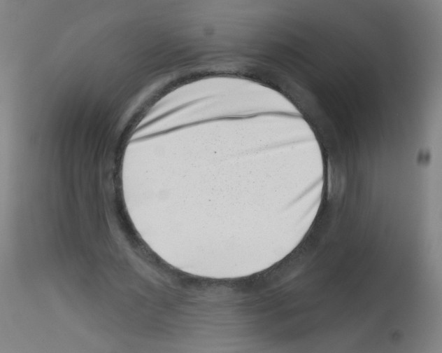 X0000113000483200910081202