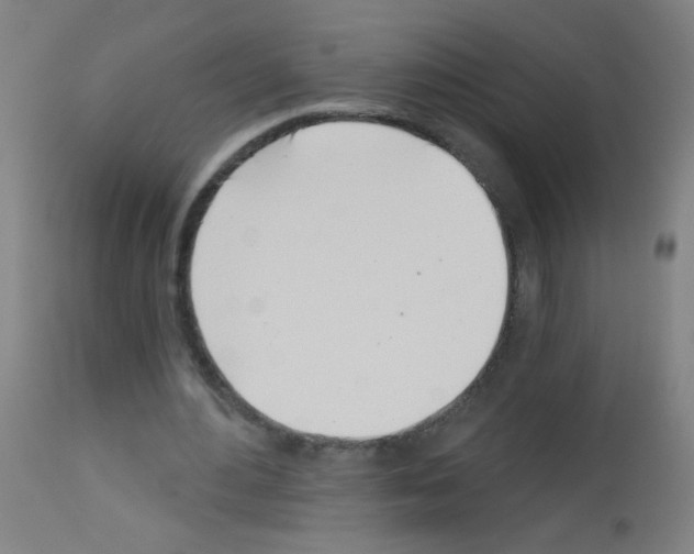 X0000113000484200910081202