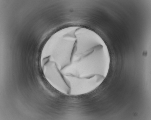 X0000113000486200910081202