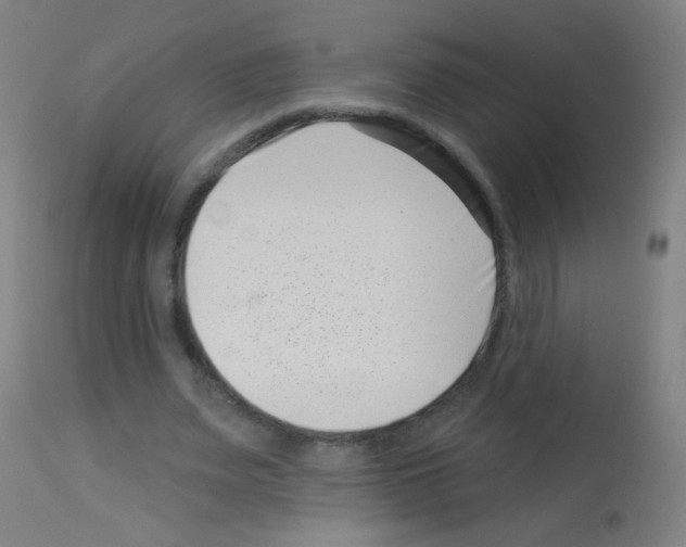 X0000113000487200910081202