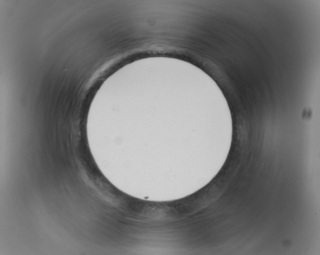 X0000113000488200910081202