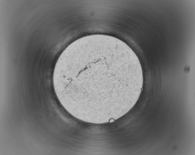 X0000113000489200910081202