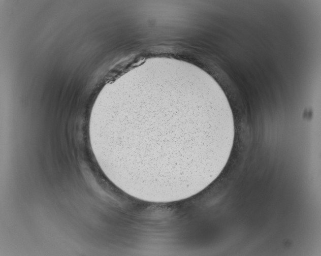 X0000113000491200910081202