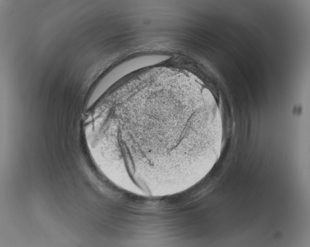 X0000113000493200910081201