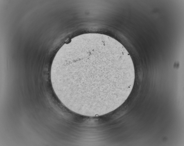 X0000113000497200910081201