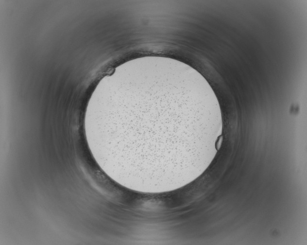 X0000113000500200910081201