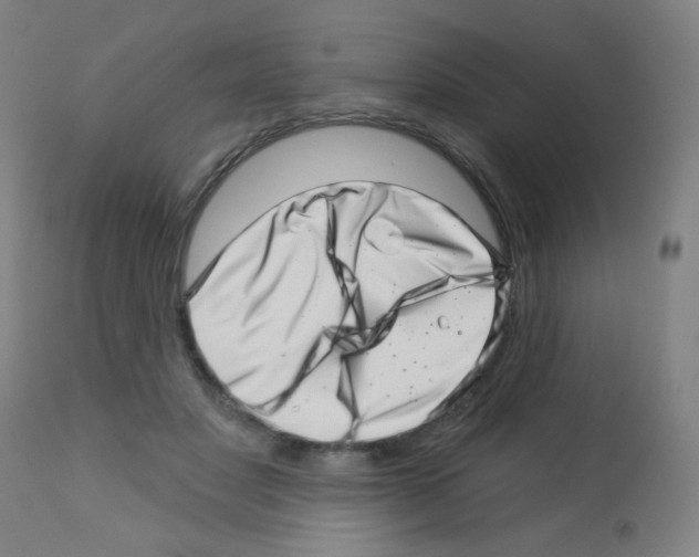 X0000113000501200910081201