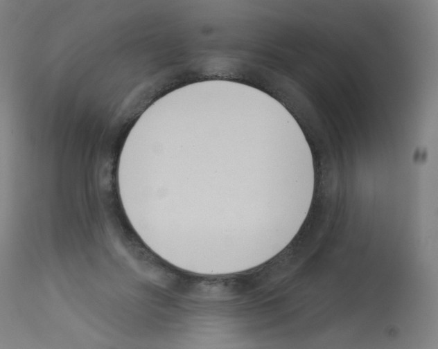 X0000113000502200910081201