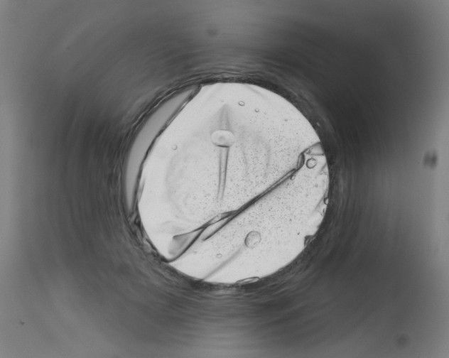 X0000113000505200910081201