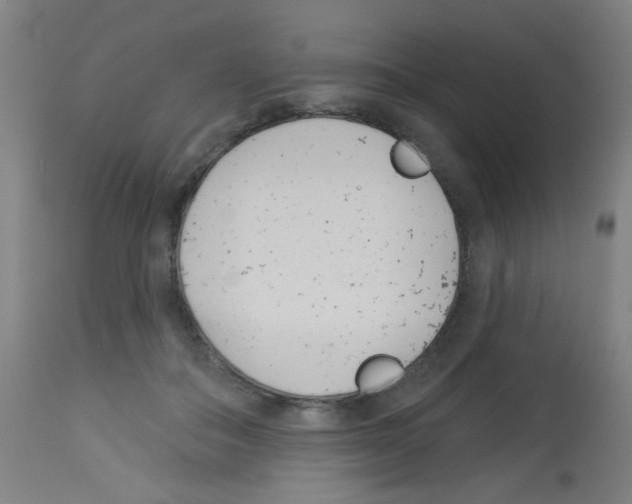 X0000113000506200910081201