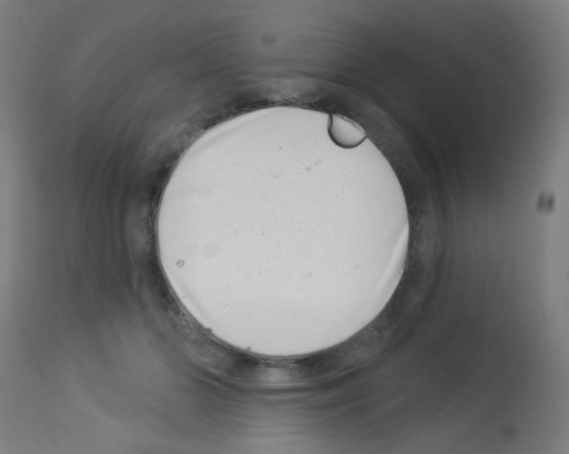 X0000113000510200910081201