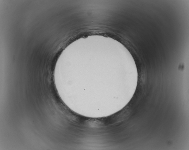 X0000113000512200910081201