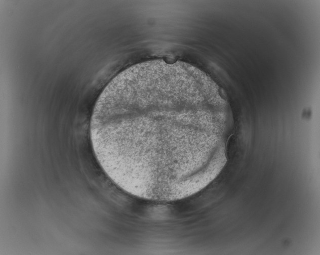 X0000113000513200910081201