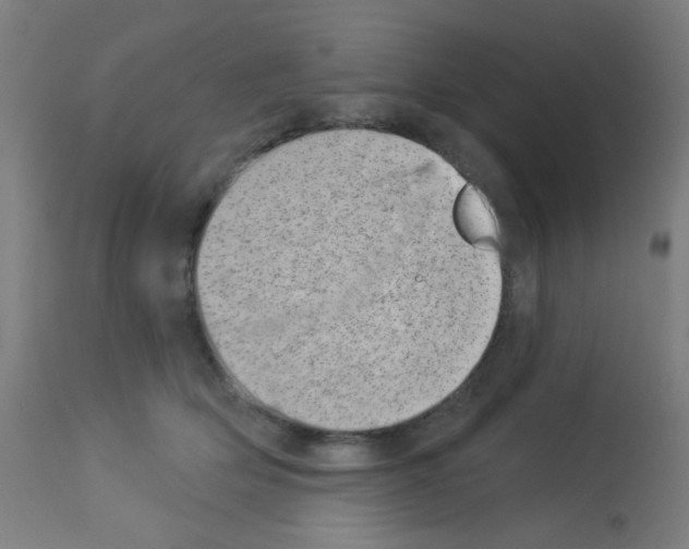 X0000113000514200910081201