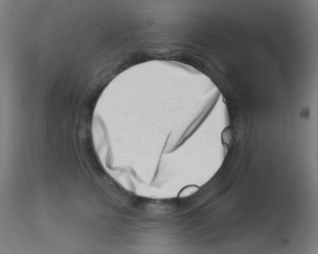 X0000113000515200910081201