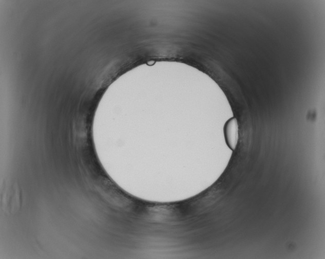 X0000113000516200910081201