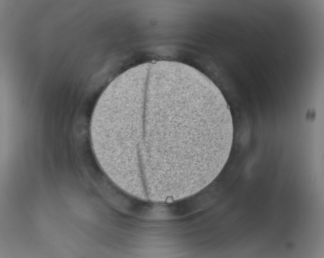 X0000113000518200910081201