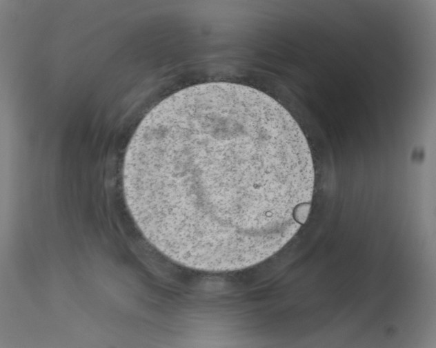 X0000113000519200910081201