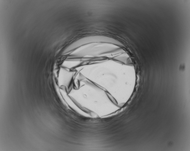 X0000113000520200910081201