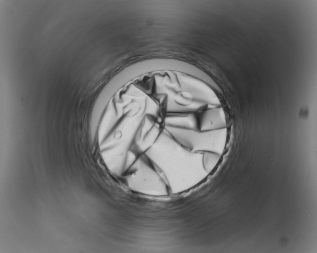 X0000113000521200910081201