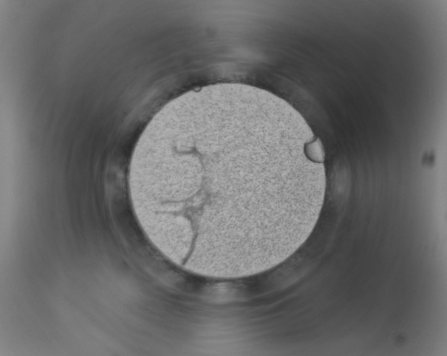 X0000113000522200910081201