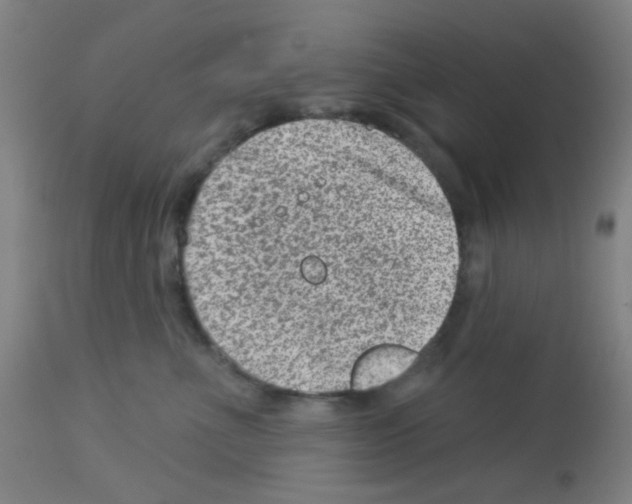 X0000113000523200910081201