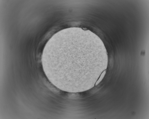 X0000113000525200910081201