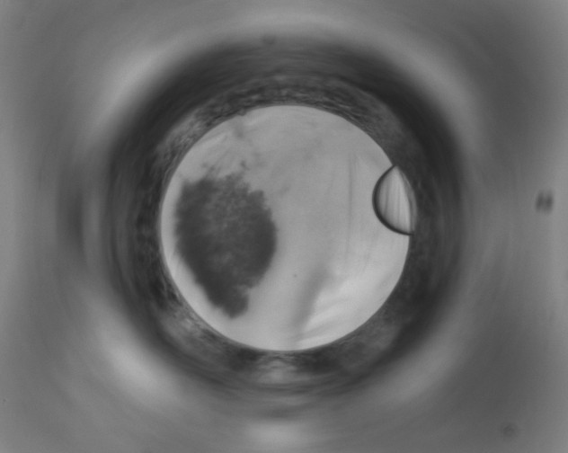 X0000113000526200910081201