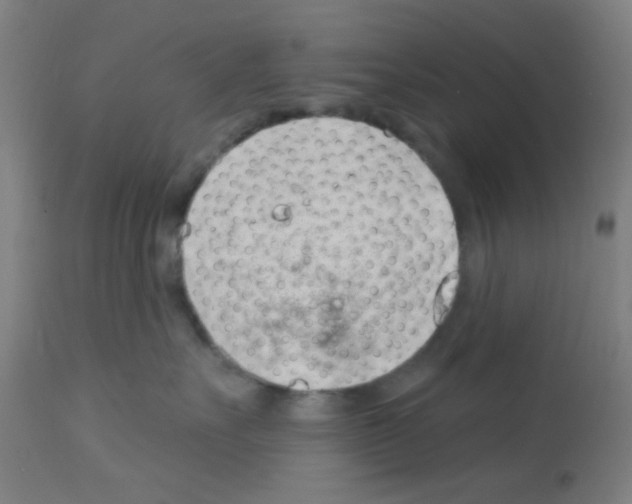 X0000113000527200910081201