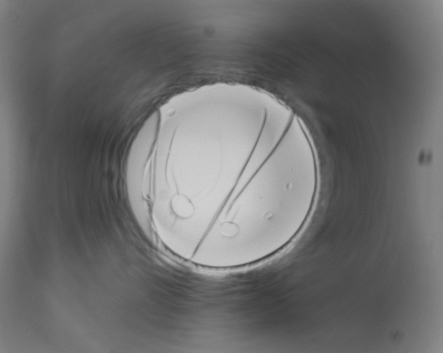 X0000113000528200910081201