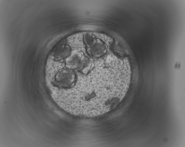 X0000113000529200910081200