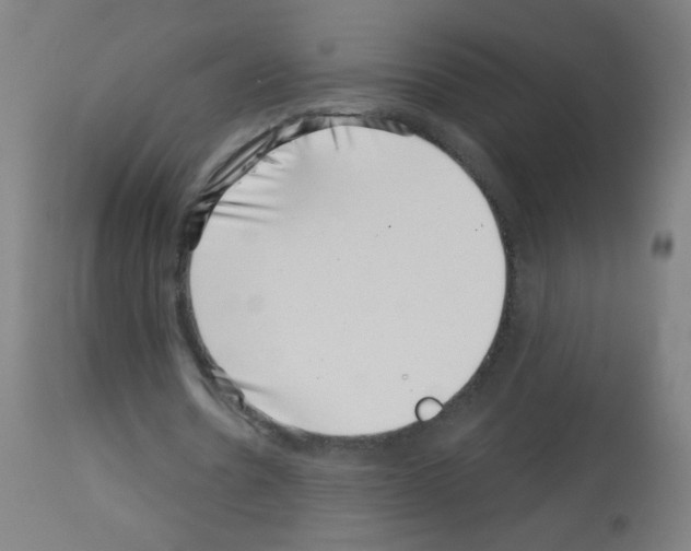 X0000113000530200910081200