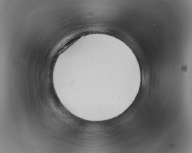 X0000113000531200910081200