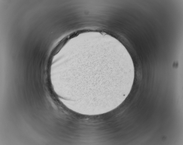 X0000113000532200910081200