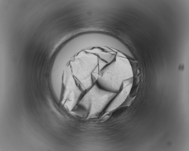 X0000113000534200910081200