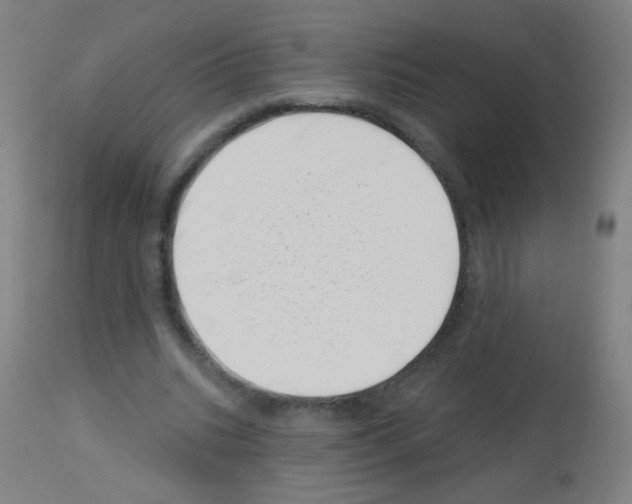 X0000113000535200910081200