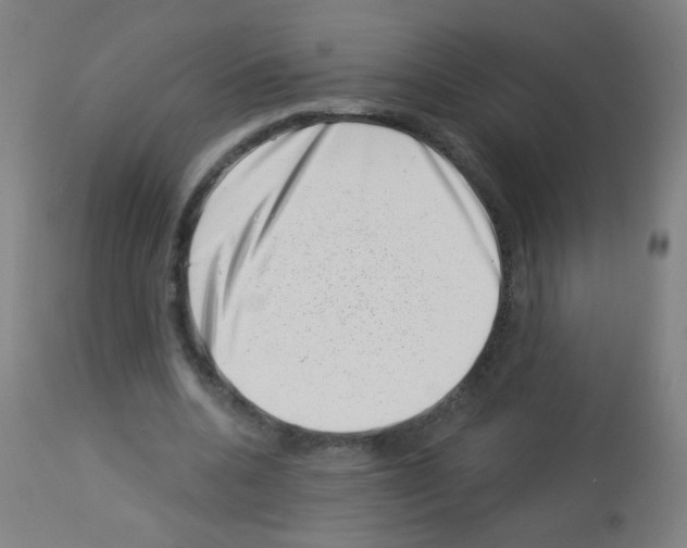 X0000113000536200910081200