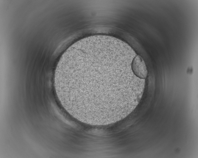 X0000113000537200910081200