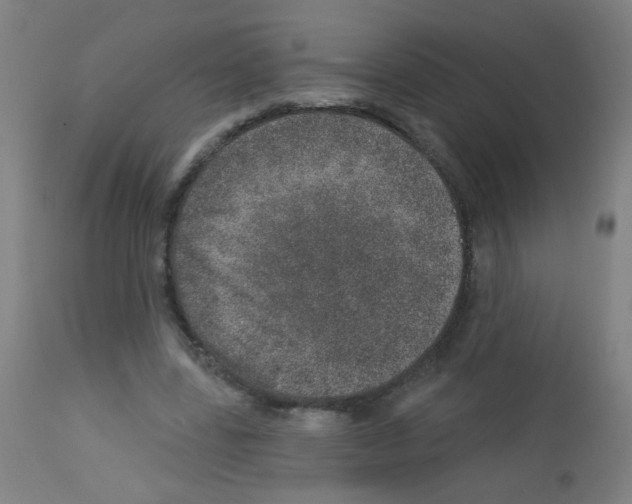 X0000113000539200910081200