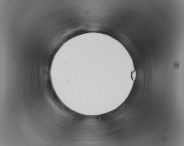 X0000113000540200910081200