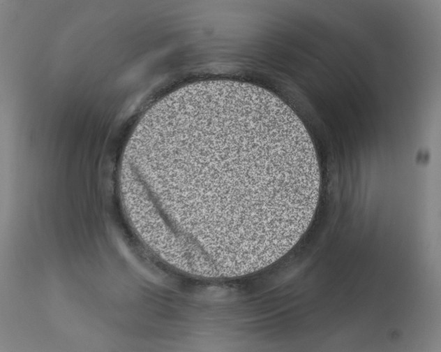 X0000113000542200910081200