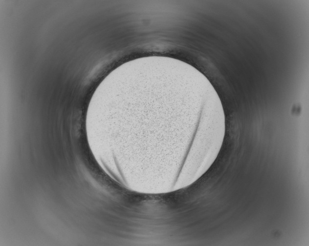 X0000113000544200910081200