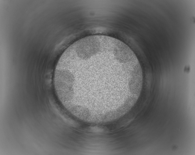 X0000113000545200910081200