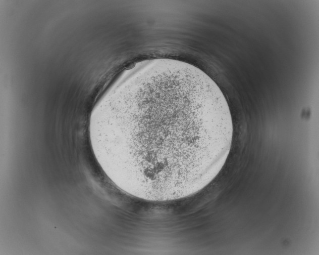 X0000113000546200910081200