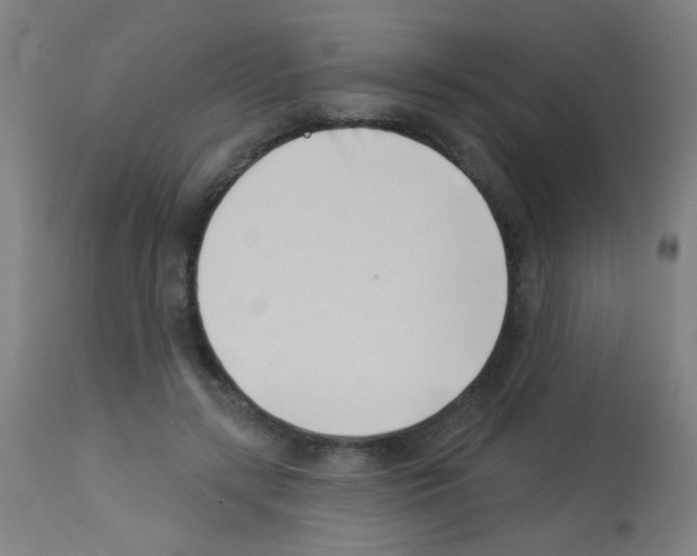 X0000113000547200910081200