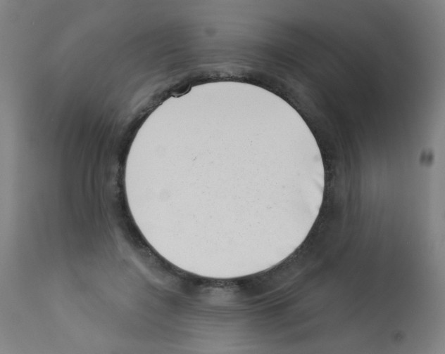 X0000113000548200910081200