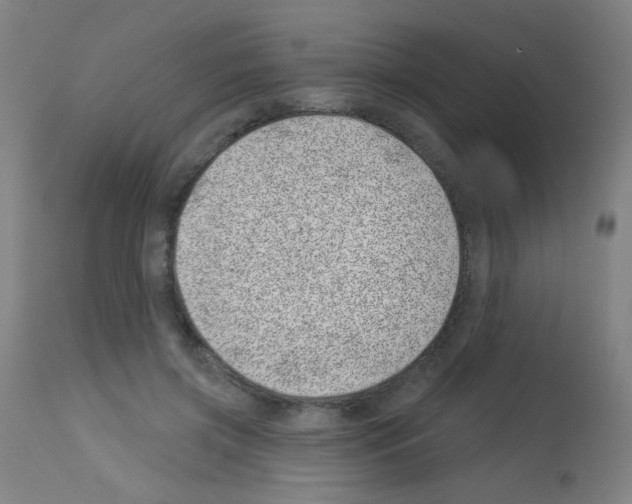 X0000113000549200910081200