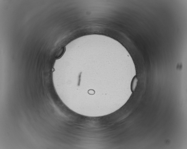 X0000113000552200910081200