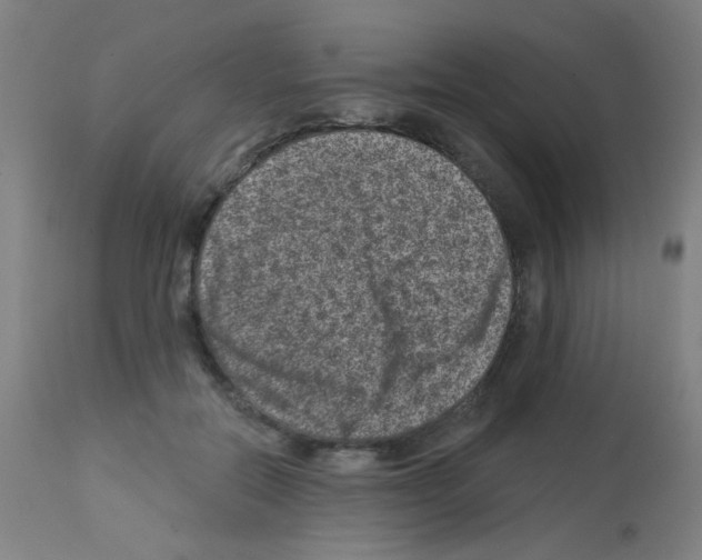 X0000113000554200910081200