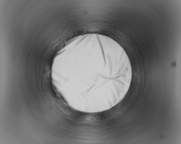 X0000113000555200910081200